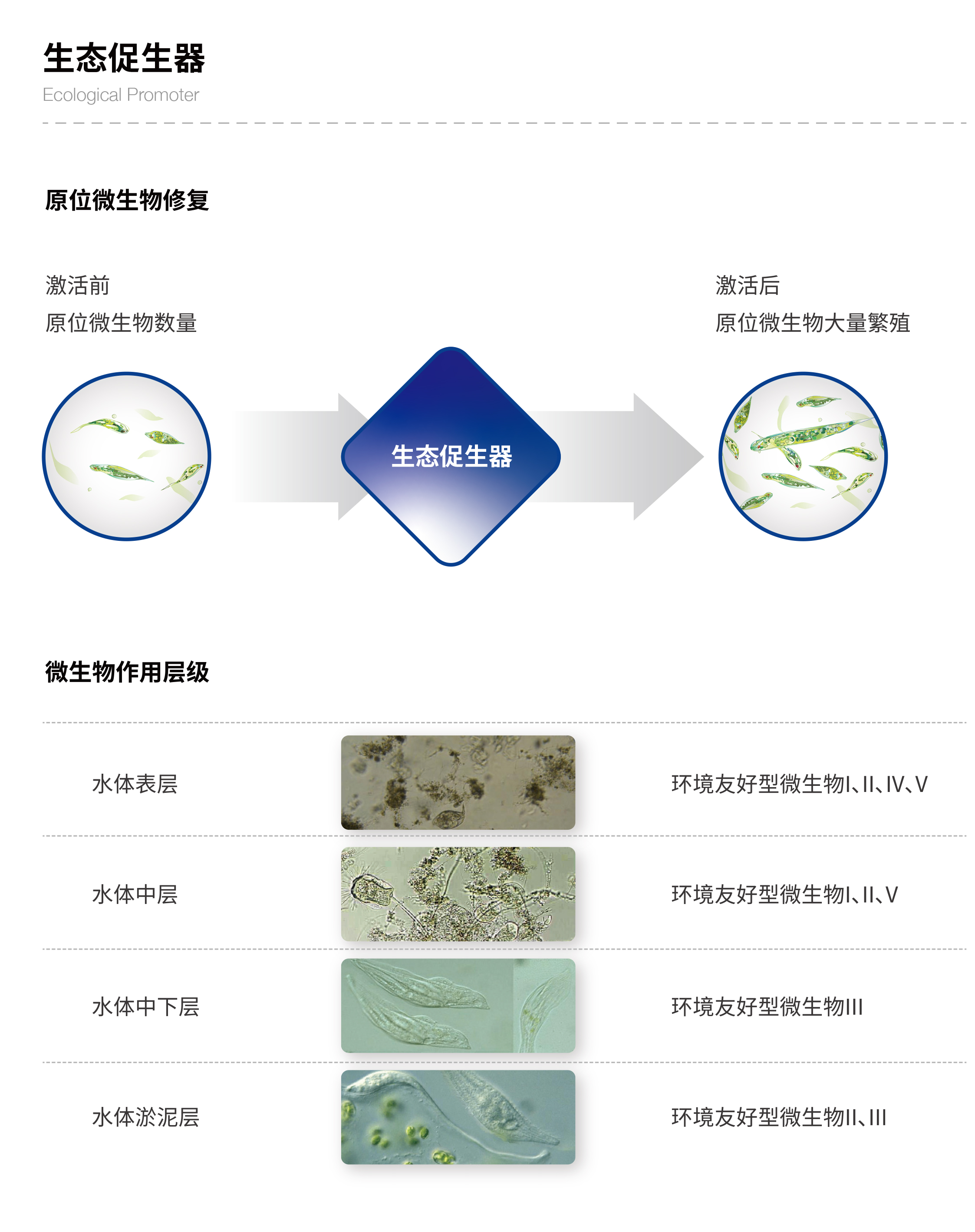 小流域生態(tài)治理技術(shù)