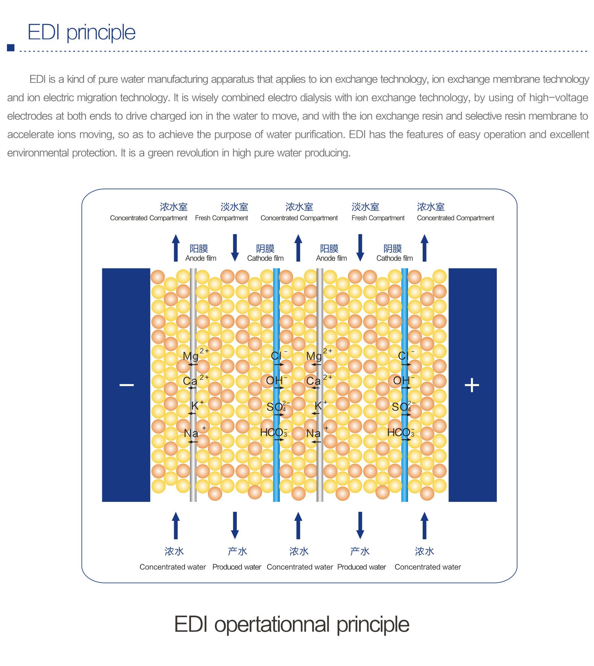 EDI introduction